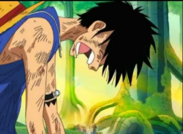 The Top 10 Saddest One Piece Moments | Anime Amino