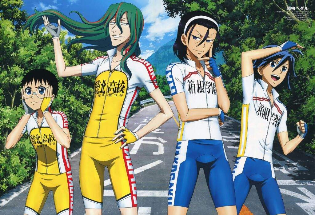 Yowamushi Pedal Manga - wide 8