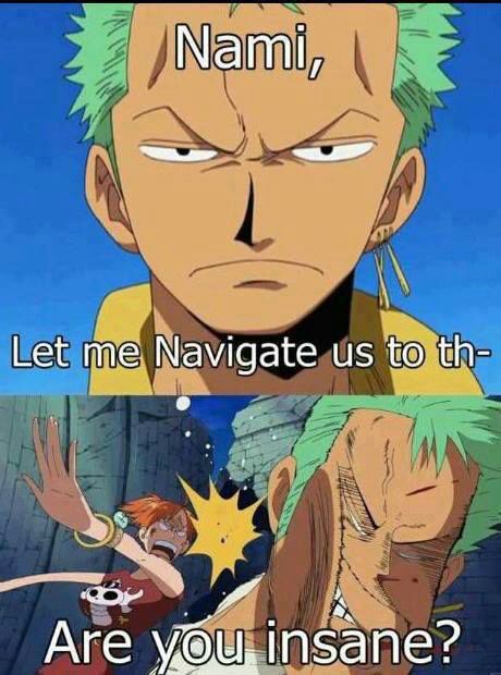 One Piece Quotes and Memes | Wiki | Anime Amino