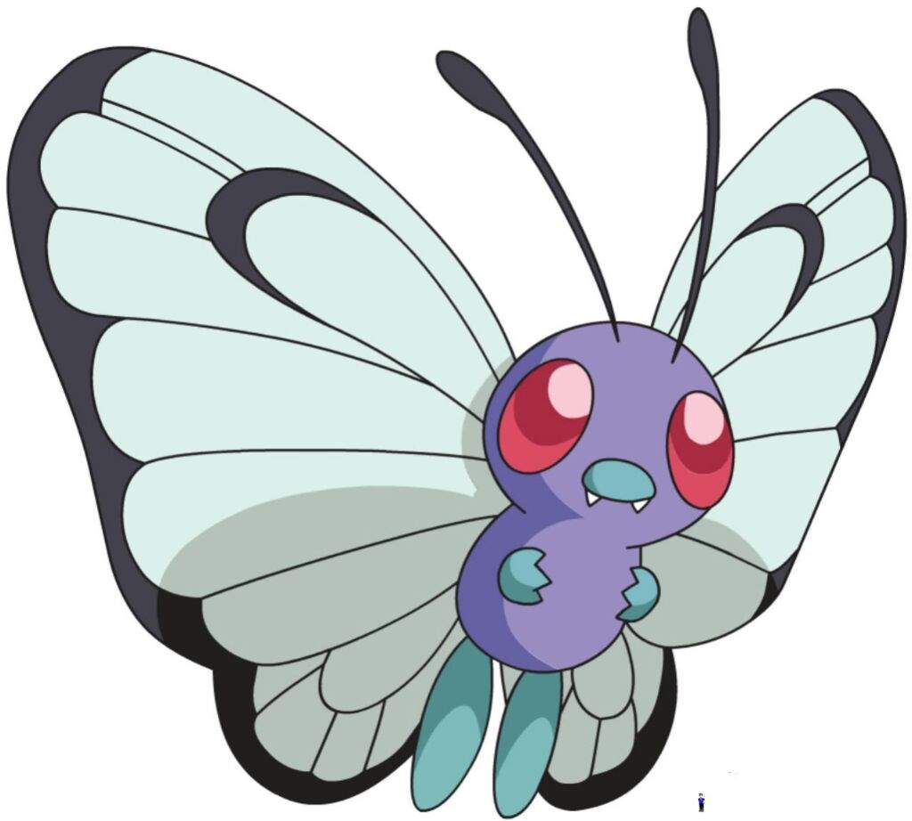 Favorite Bug Pokemon Pok Mon Amino