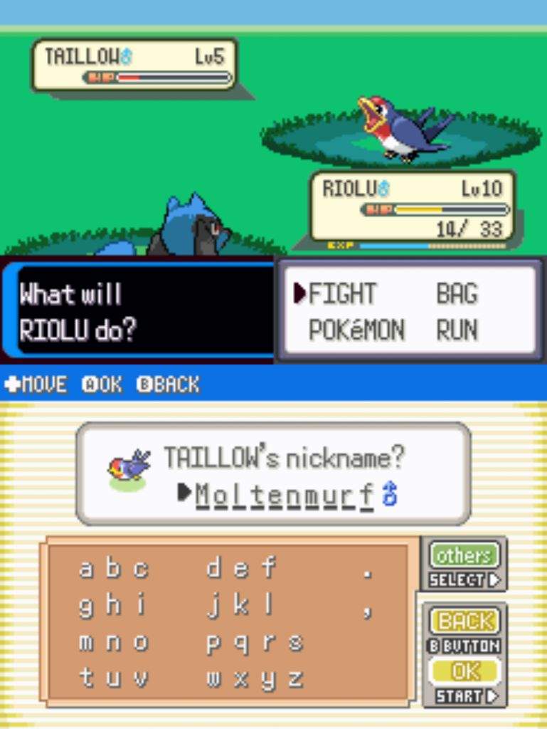 Pokemon resolute physical special split