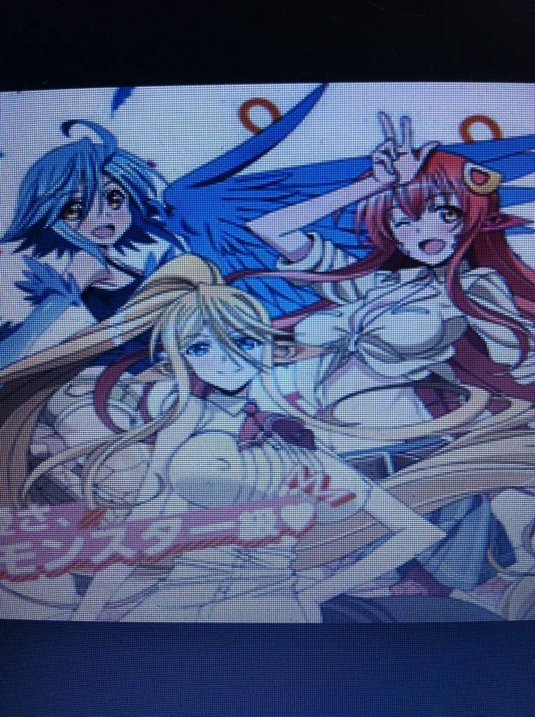 Monster Musume No Iru Nichijou Wiki Anime Amino