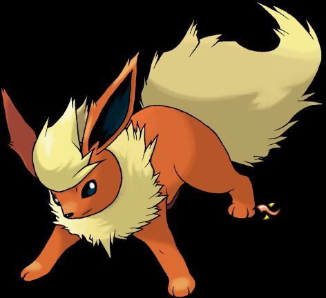 Zolt the zapdos/jolteon | Wiki | Pokémon Amino