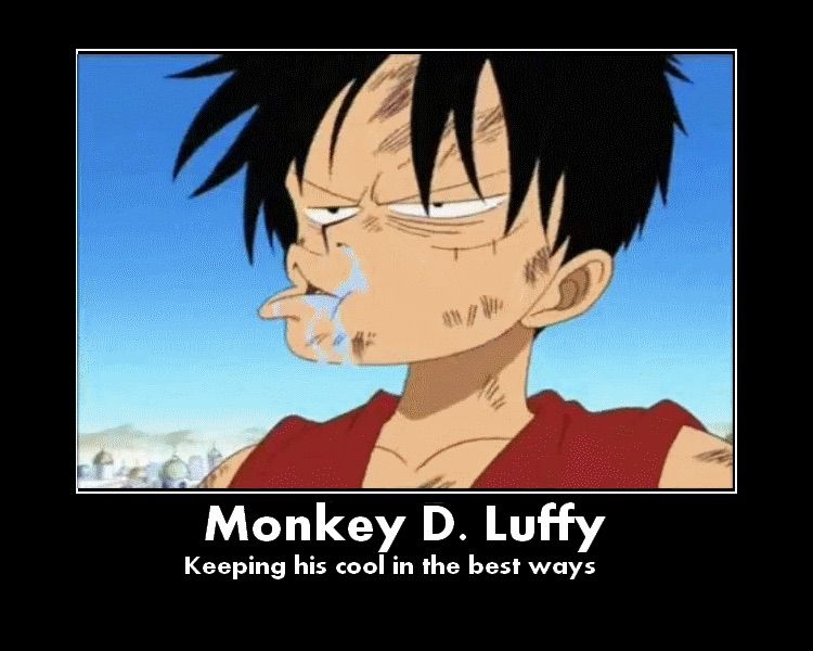 One Piece Funny Pictures! | Anime Amino