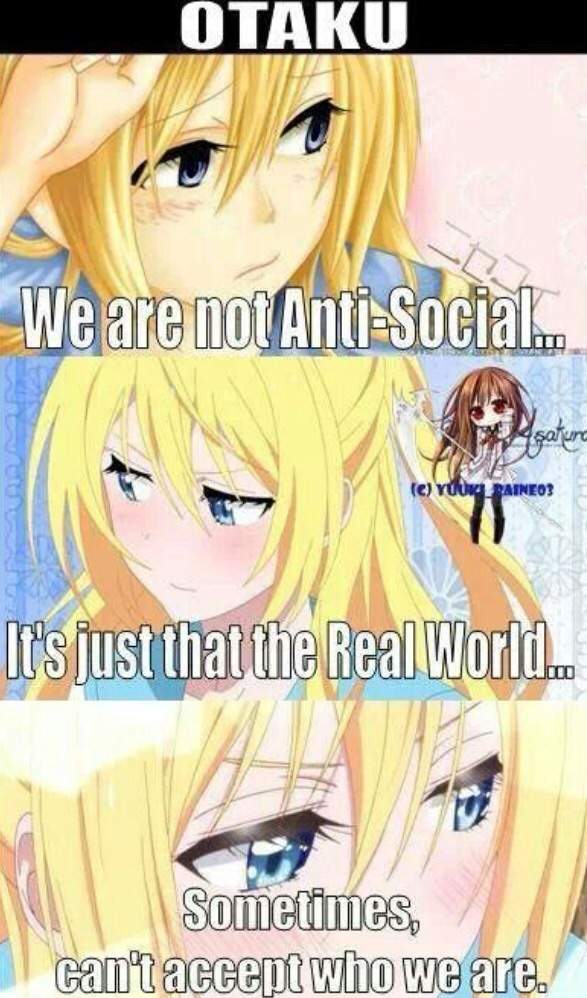 The True Life of an Otaku | Anime Amino The True Life of an Otaku | Anime Amino