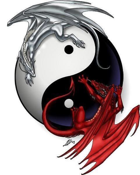 Red Dragon Vs White Dragon | Wiki | Anime Amino