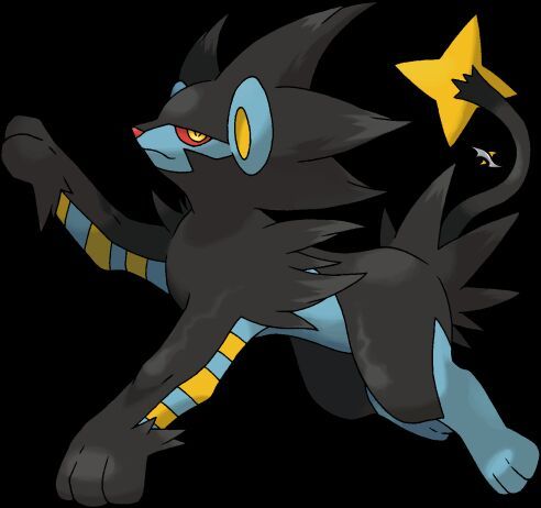 Luxray | Pokémon Amino