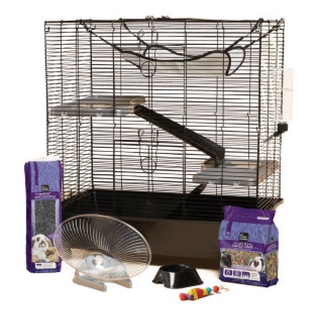 how big does a rat cage need to be