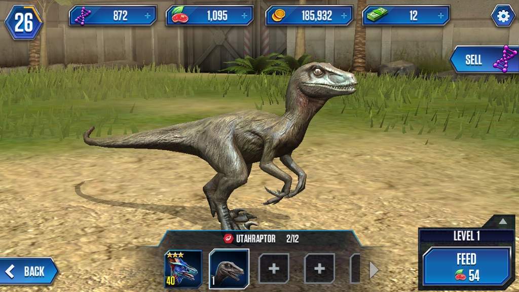 Dinosaurs : Utahraptor | Science Amino