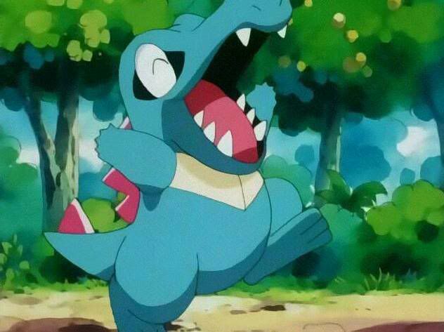 totodile teddy