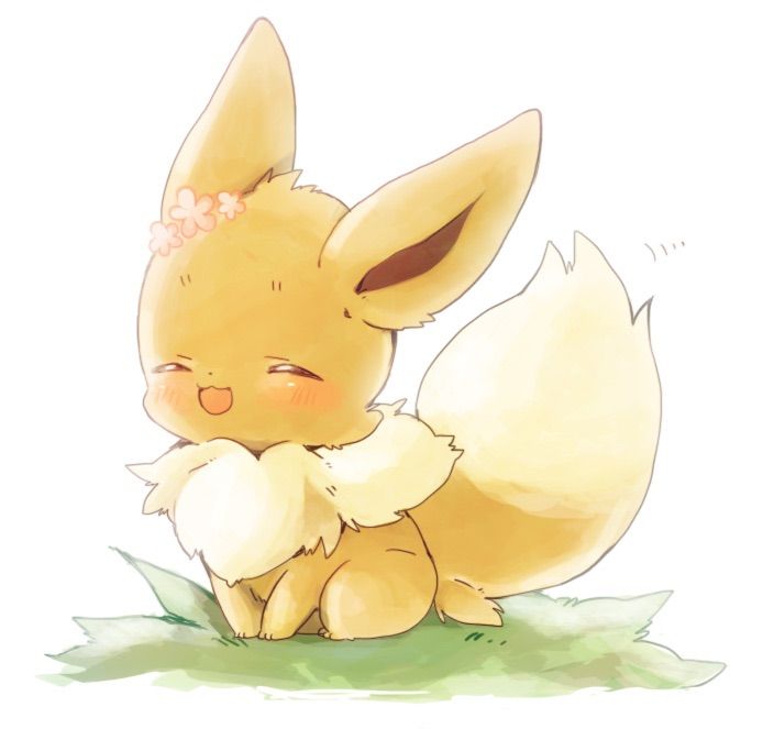 Eevee | Wiki | Pokémon Amino