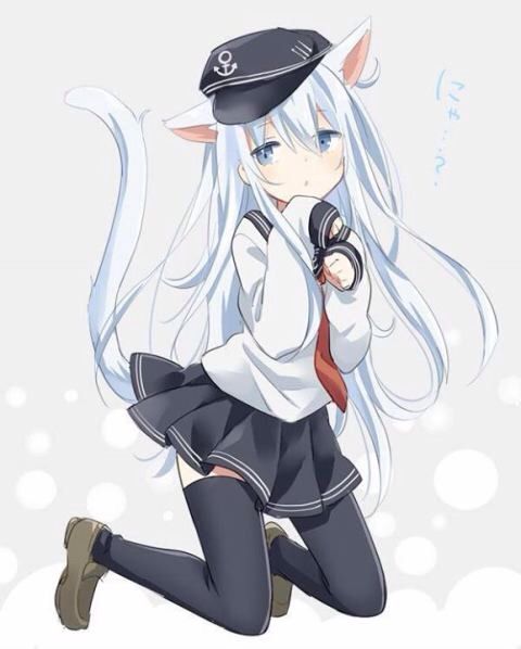 Kentai Collection: Kancolle | Wiki | Anime Amino