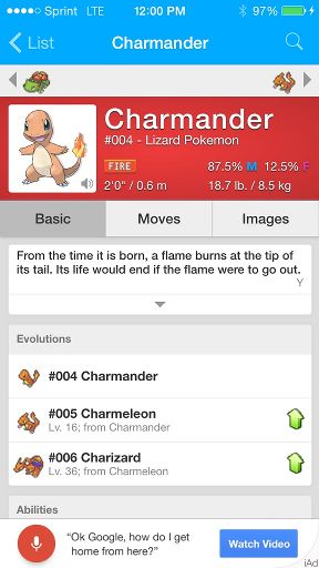 And todays pokemon of the day is charmander | Pokémon Amino