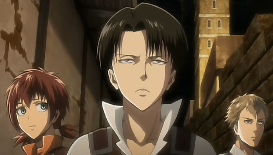 levi ova