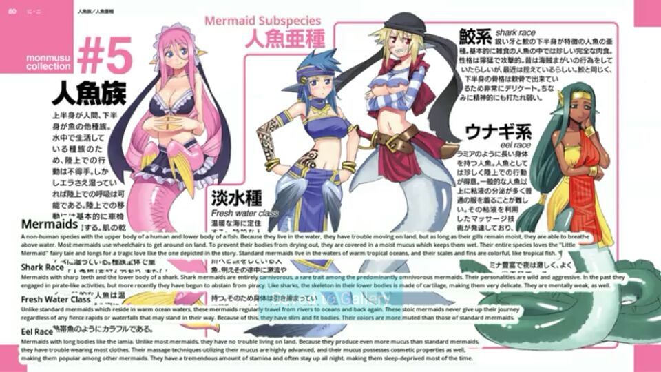 Different Mermaid Subspecies Anime Amino