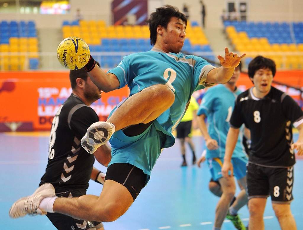japan handball association