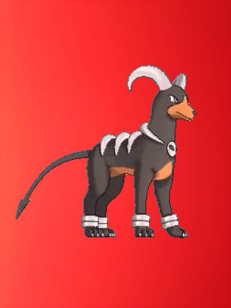 houndoom sitting cutie