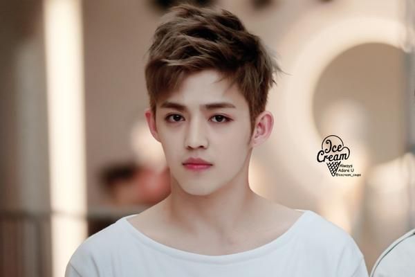 Resultado de imagem para s.coups