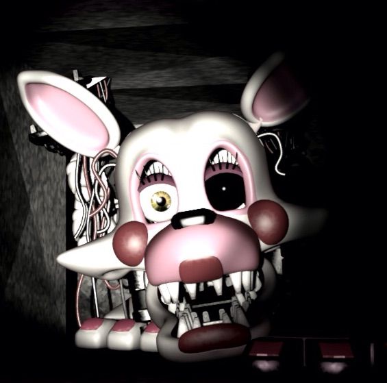 mangle teddy