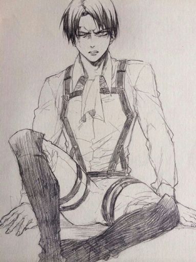 Levi Ackerman | Anime Amino