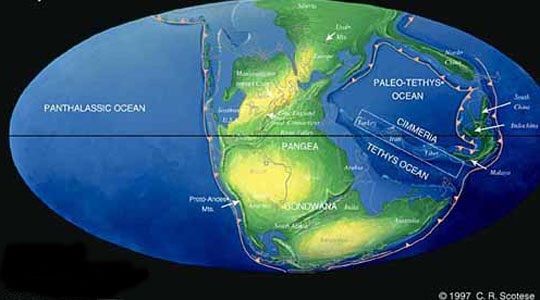 Pangea | Wiki | Science Amino