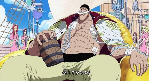 Top 20 One Piece Characters! | Anime Amino