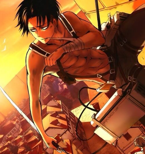 Levi Ackerman | Wiki | Anime Amino