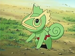 Kecleon | Wiki | Pokémon Amino