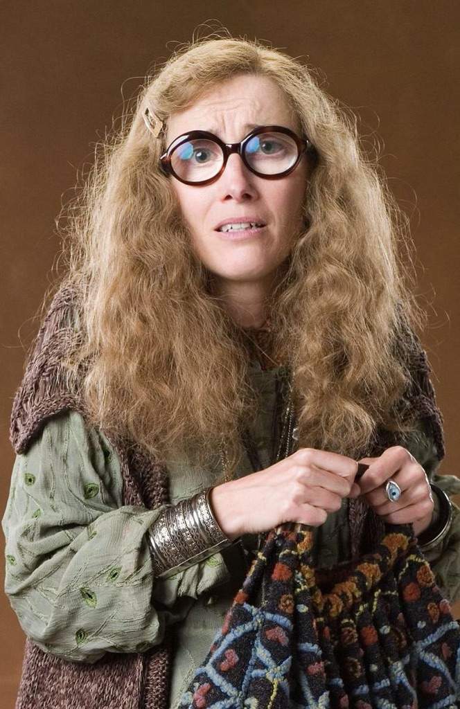 Who Is Professor Trelawney