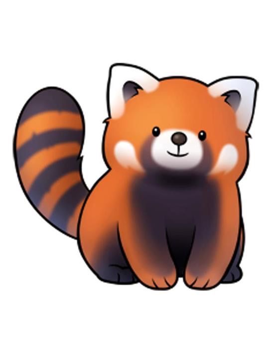 Red Pandas ⌯ ⌯♡ Wiki Omg Amino