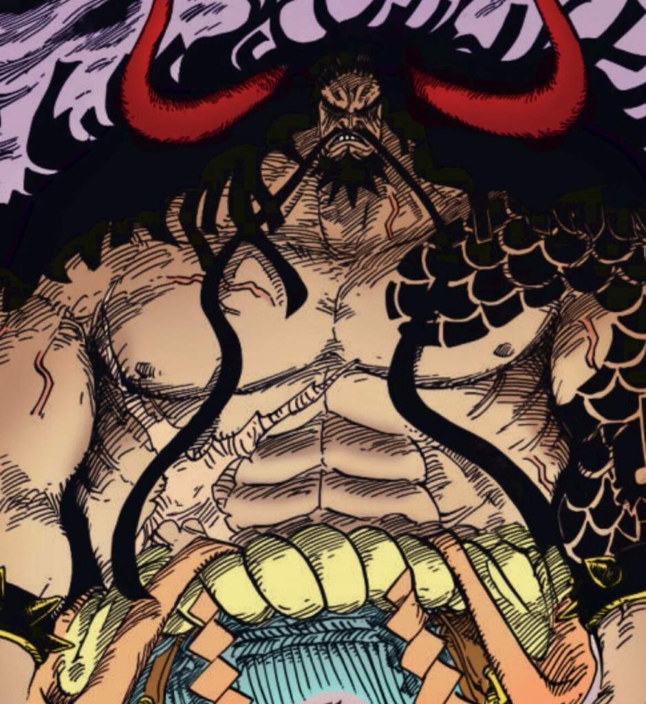 Yonko Kaidou Of The Beasts | Wiki | Anime Amino