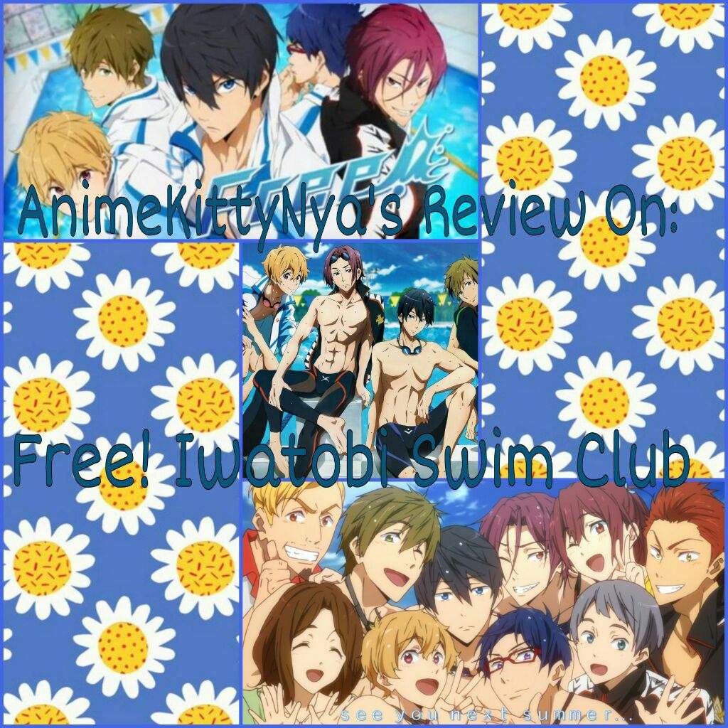 AnimeKittyNya's Review On:Free!Iwatobi Swim Club | Anime Amino