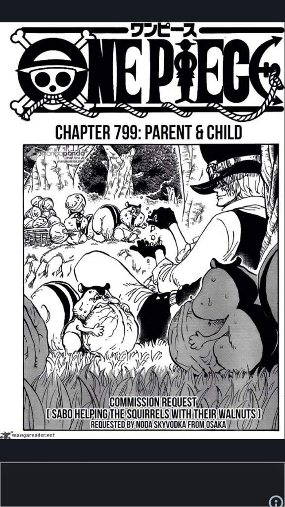 New One Piece Chapter 799 Anime Amino