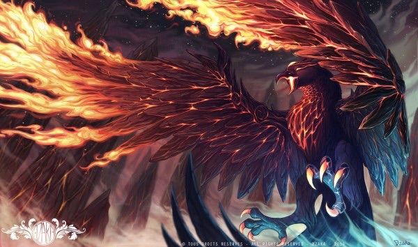 Skin Concepts Anivia League Of Legends Official Amino