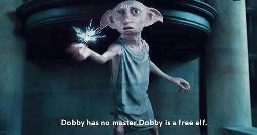 dobby has no master t shirt