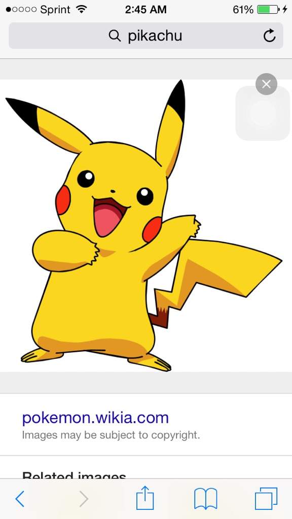 whos-better-eevee-or-pikachu-pok-mon-amino