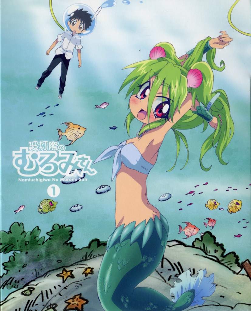 Namiuchigiwa No Muromi San Wiki Anime Amino