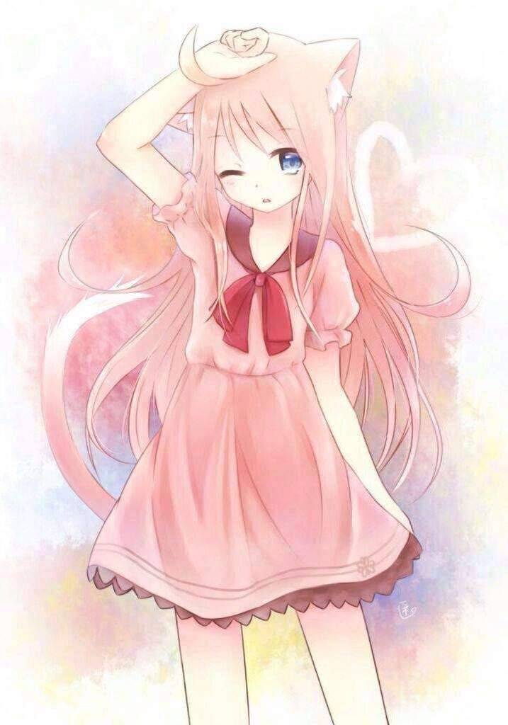 Neko 1 | Anime Amino