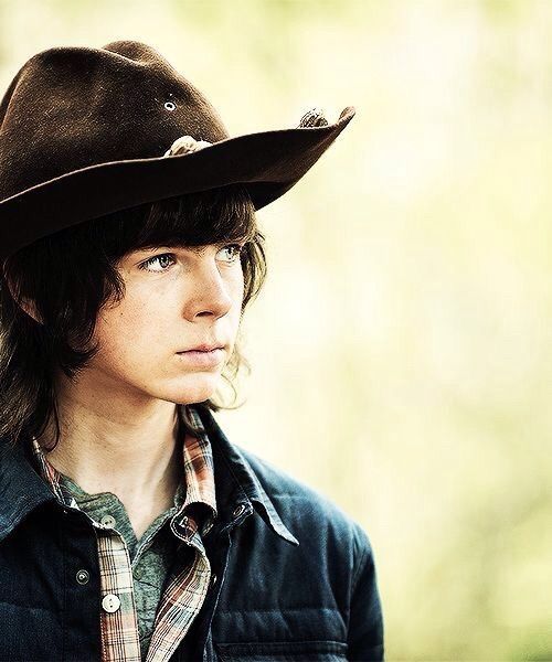 Carl Grimes | Wiki | Walkers Amino