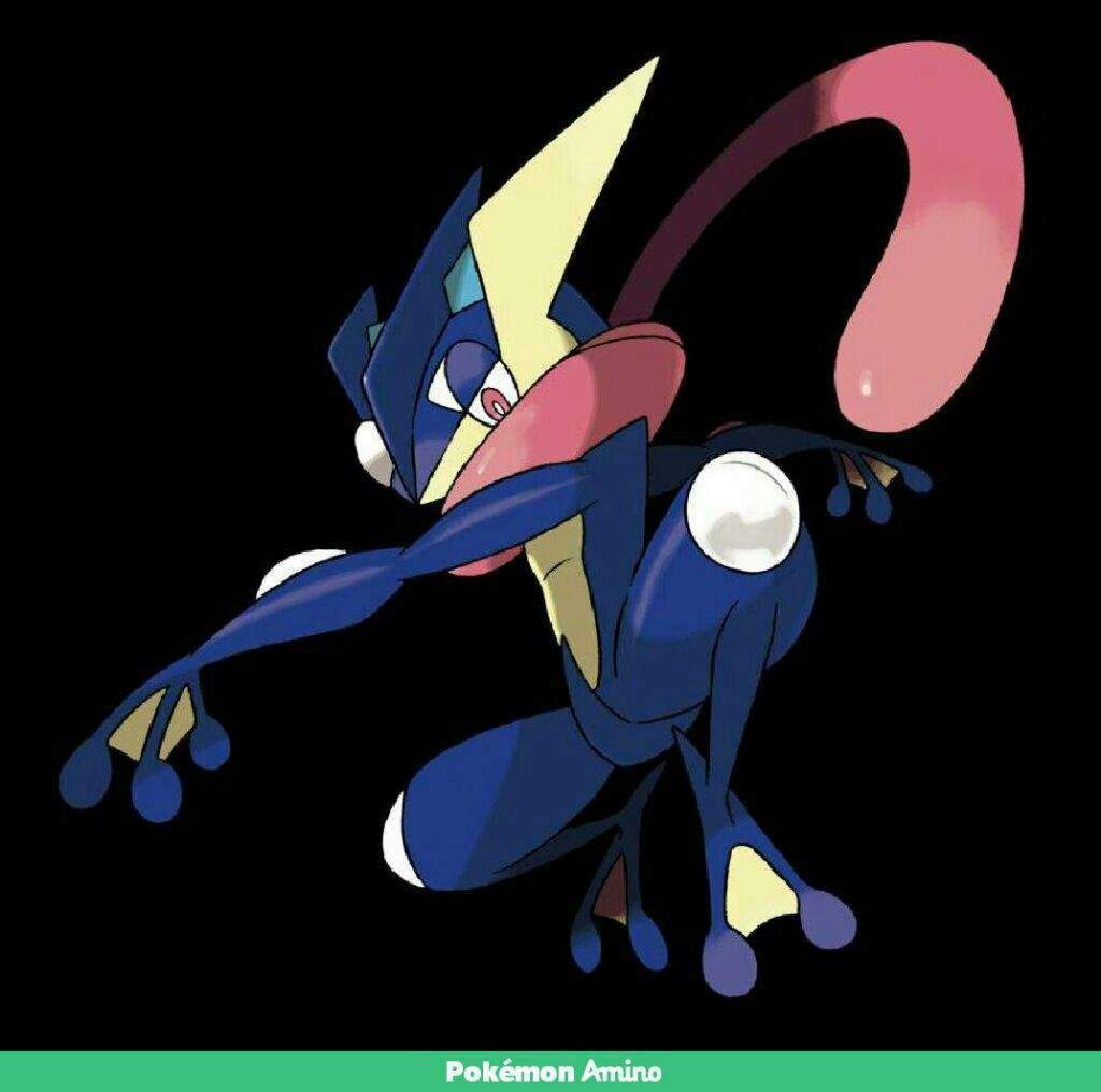 Pokémon of the Day: Greninja | Pokémon Amino