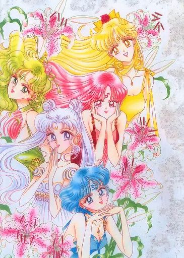 Pretty Guardian Sailor Moon | Wiki | Anime Amino