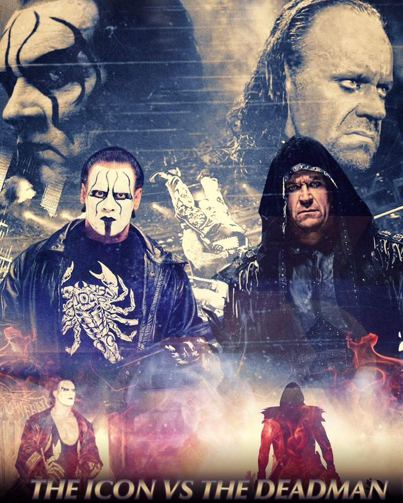 Sting vs Undertaker Who Will Win? | Wrestling Amino