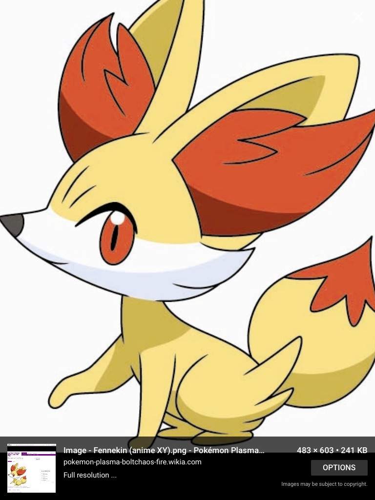 Starters Wiki Pokémon Amino