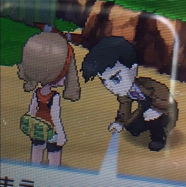 z amnesia pokemon z amnesia pokemon