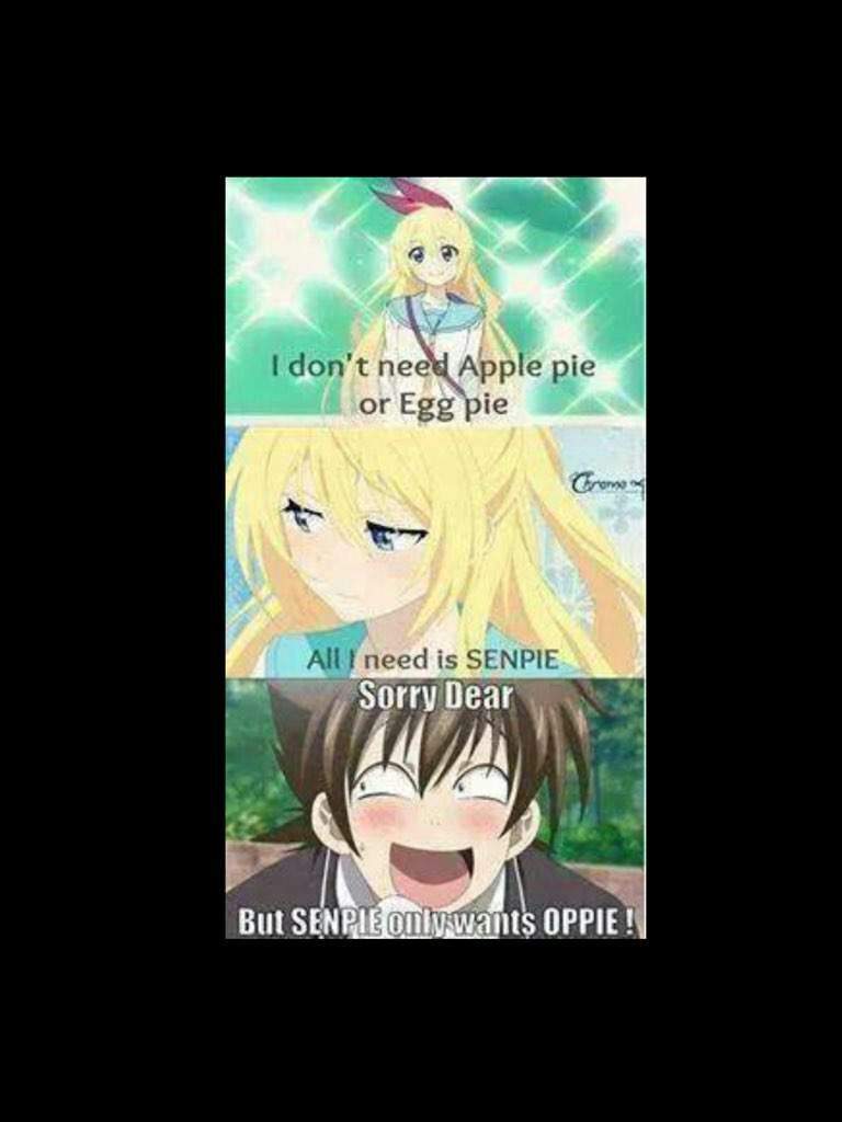 Funny Anime Meme Of The Day Anime Amino