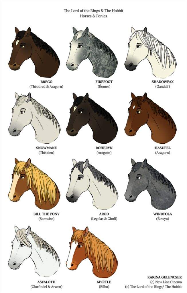 Horses Names In Lord Of The Rings Epic Facts About The Lord Of The ...
