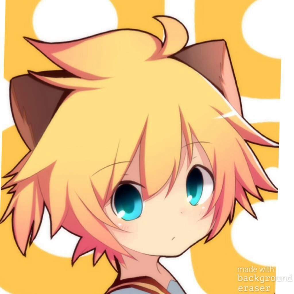 Nekos | Wiki | Anime Amino