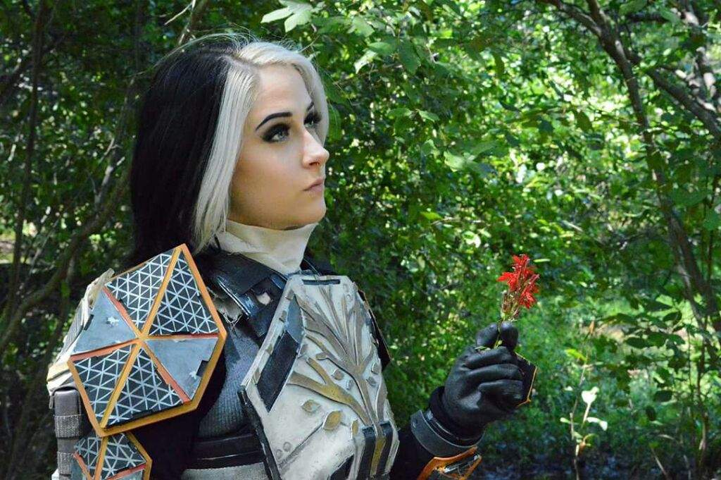 destiny titan mark cosplay