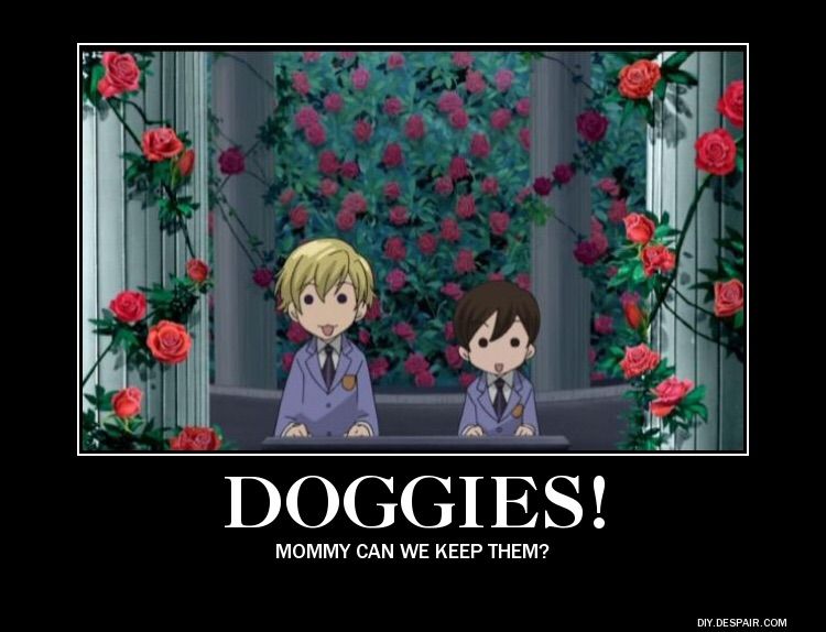 Ouran Highschool Hostclub Memes Anime Amino