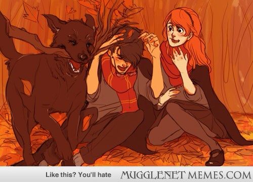 Marauder Headcanons/Art | Harry Potter Amino